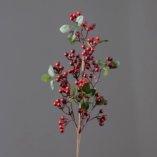 Cranberry branch